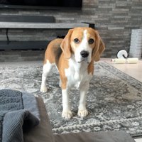 出勤前のママさんとメイちゃん