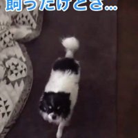 ちーちゃんとの出会い7