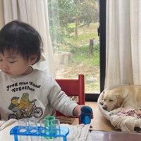 見なかったことにして寝たフリ