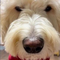 想像を超えるほどの迫力！