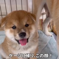 「あ～面白かった！」