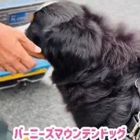 丁寧にご挨拶