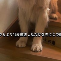 うっかり寝坊してしまった