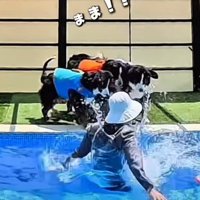 ママがプールへ落下