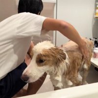 お風呂もパパが担当♪