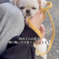 「こわい…」