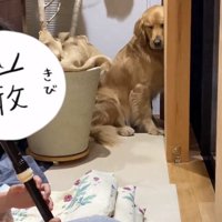 目をつむるならちゃん