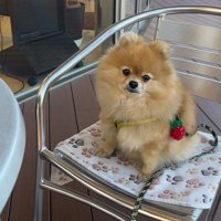 お行儀よくお座り