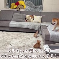 うにくんが飛び入り参加！？