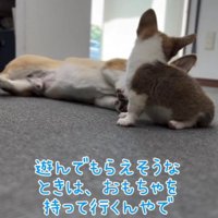 心得はたくさんある