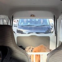 座席を踏み台にして…