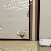 大きく手を出す凛くん