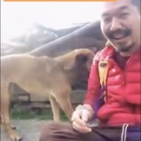 座る人に近づく犬