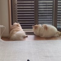 あっという間に仲直り♡
