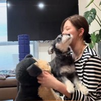 女性の膝の上に乗って暴れる犬