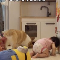 「入っちゃったね…」