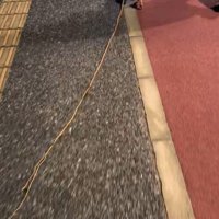 応援したくなりますね！