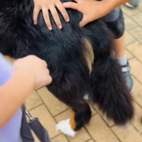 お尻もなでなで♡