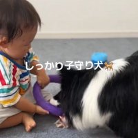 一緒に遊ぶヒマちゃんと赤ちゃん