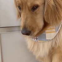 がんばろ！病院！！