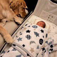 リリーちゃんと弟くんの初対面⑩