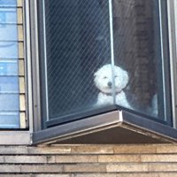 思わずホッコリ