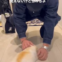 手のぬくもりに思わずペタリ
