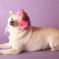 普段のゆき丸ちゃん