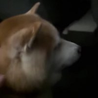 サプライズは大成功！！