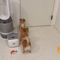 お迎えに来たら…