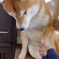 しっかり約束しました