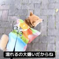 オシャレに見えてくる不思議