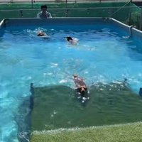 みんな楽しそう♪