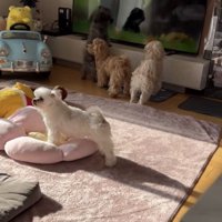 先輩たちと一緒にテレビ