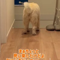 「別に心配してるわけじゃ…」