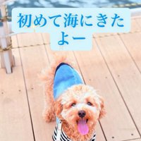 笑顔の犬