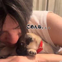 謝るうめちゃん