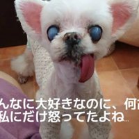 投稿主さんにだけ怒る…
