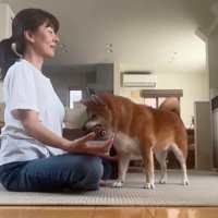 瞑想を邪魔する野々花ちゃん5