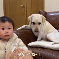 素直に返してくれました♪