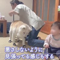 「見張ってる感じもする」