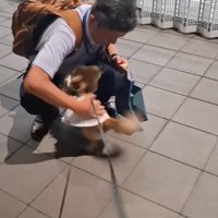 CoCoちゃんとパパさんの再会8