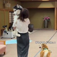 対照的な2匹が可愛い♡