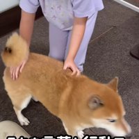 ロックちゃんが変わった理由