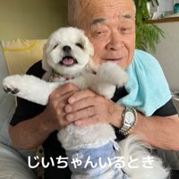 おじいちゃんと小型犬