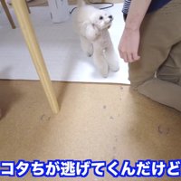 「謝らないと許さないよ！！」