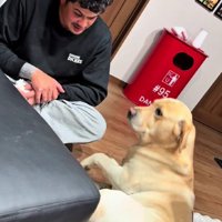「これ誰がやったの」