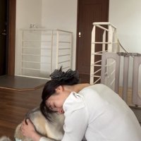 人に抱きしめられる犬