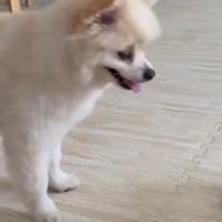 「なんで出ないんだろう…」