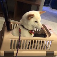 落ち着いて順番を待っています